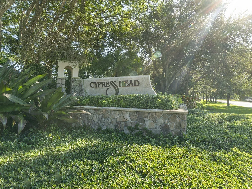 Cypresshead_03